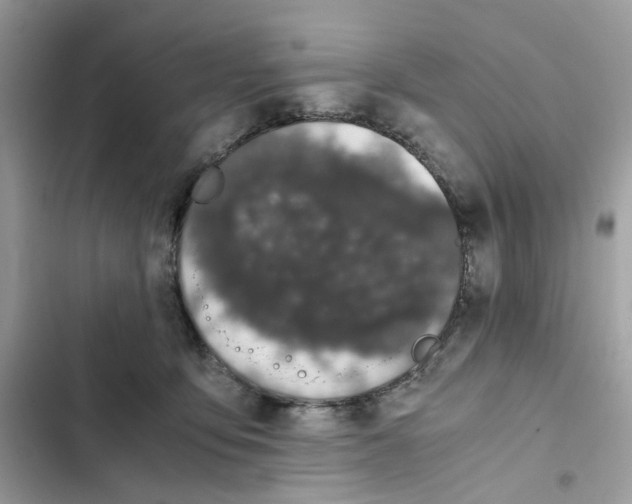 X0000101990419200808151428
