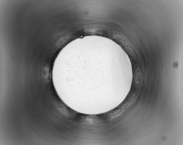 X0000101990420200808151428