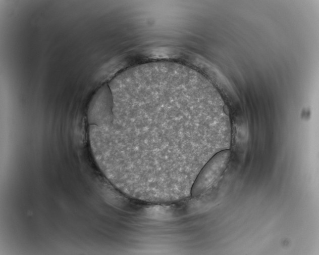 X0000101990422200808151428