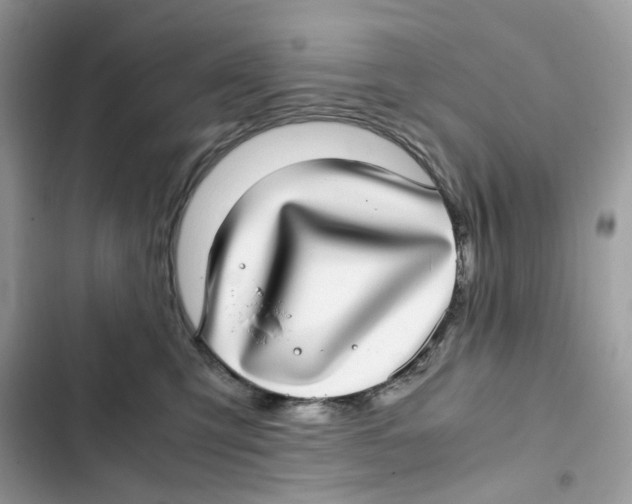 X0000101990423200808151428
