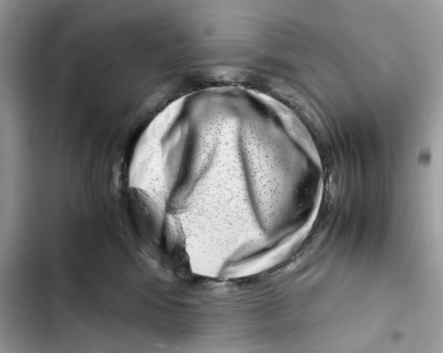 X0000101990424200808151428