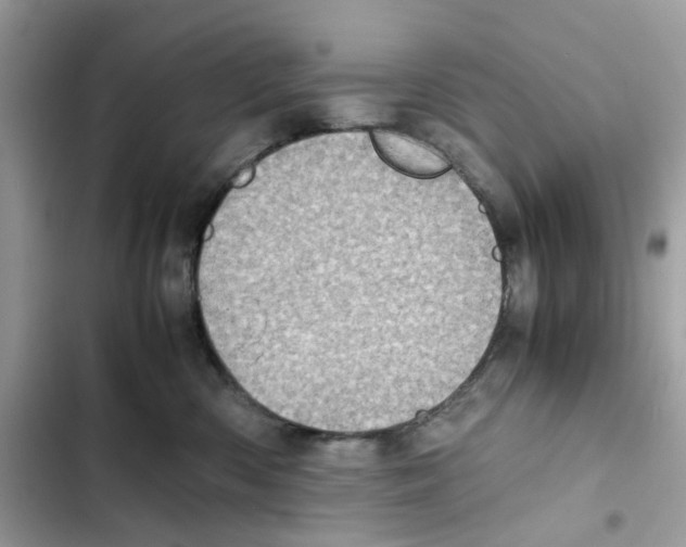 X0000101990426200808151428
