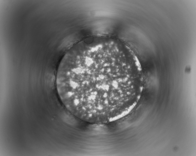 X0000101990427200808151428