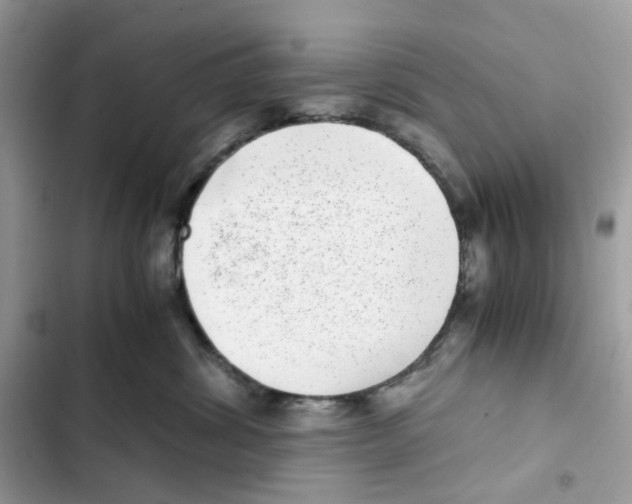 X0000101990428200808151428