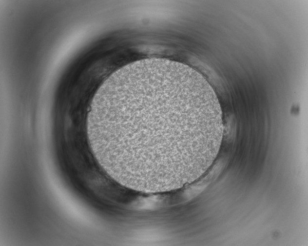 X0000101990430200808151428