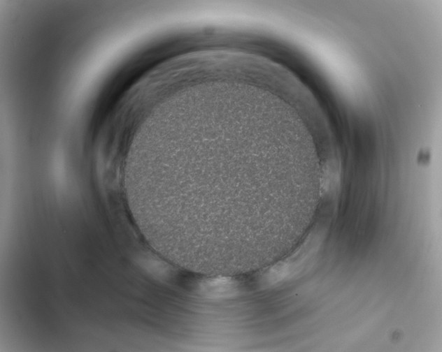 X0000101990431200808151428