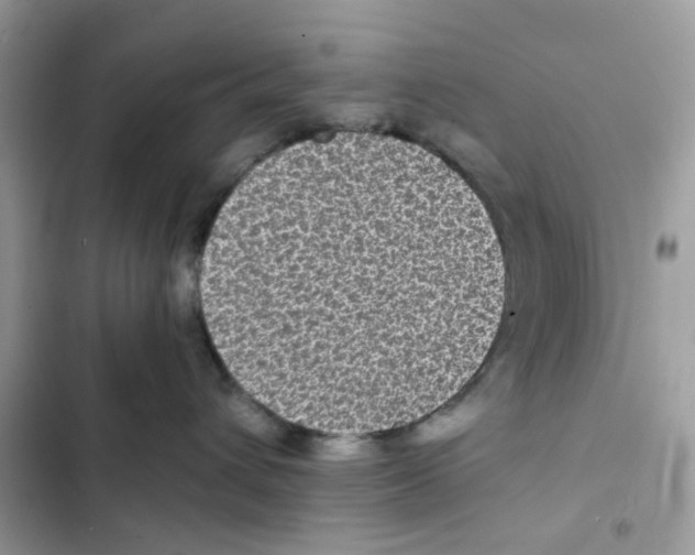 X0000101990432200808151428