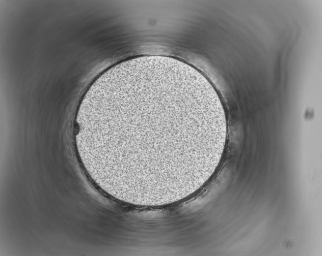 X0000101990433200808151427