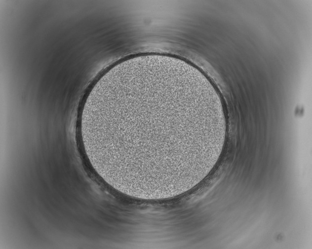 X0000101990434200808151427