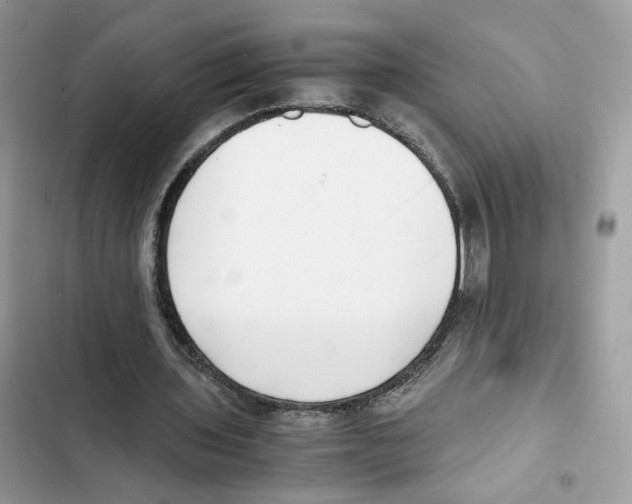 X0000101990435200808151427