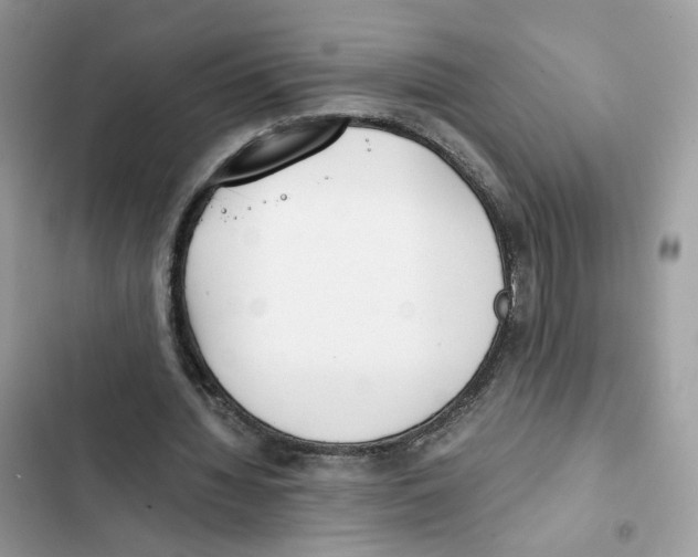 X0000101990436200808151427