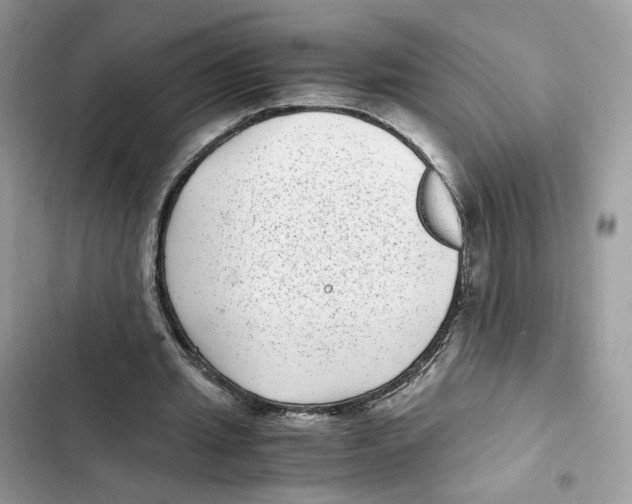 X0000101990437200808151427