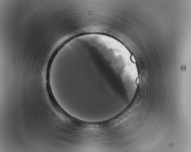 X0000101990438200808151427