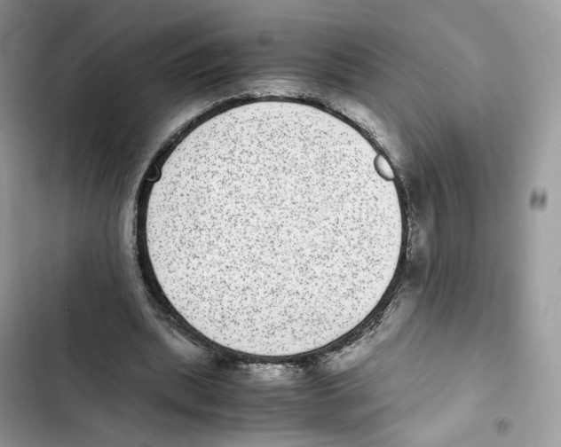 X0000101990439200808151427