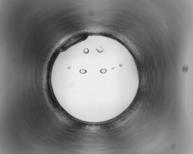 X0000101990440200808151427
