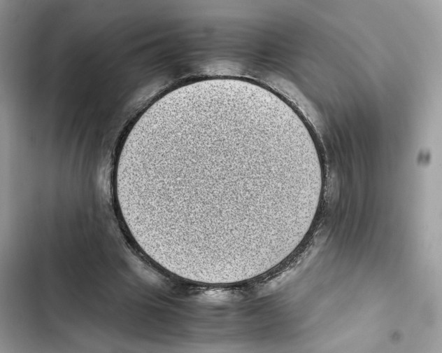X0000101990441200808151427