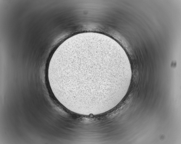 X0000101990442200808151427