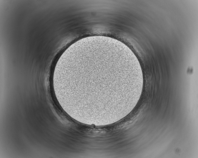 X0000101990443200808151427