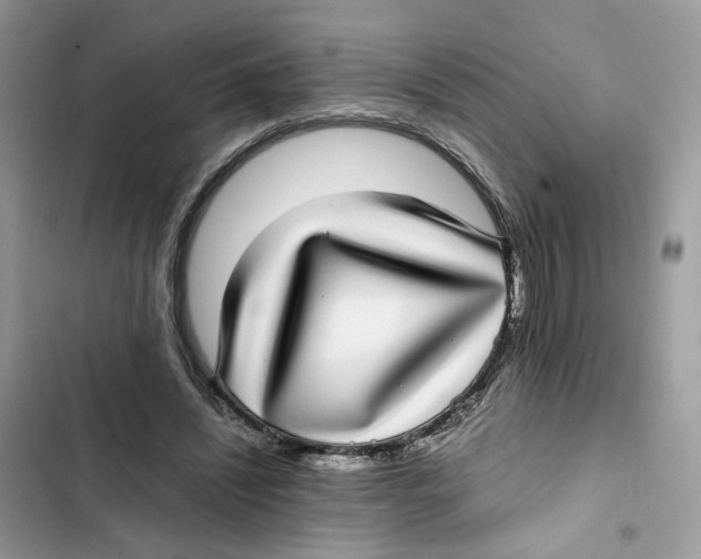 X0000101990444200808151427