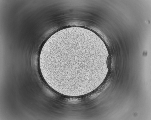 X0000101990445200808151427