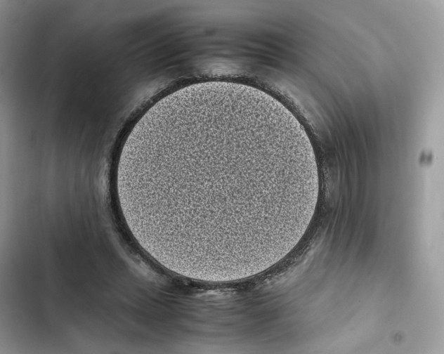 X0000101990447200808151428