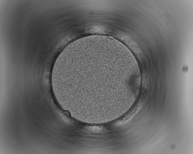 X0000101990449200808151428