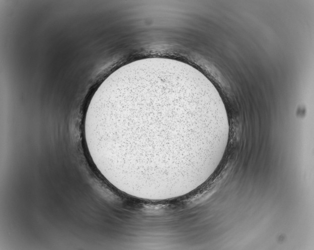 X0000101990450200808151428