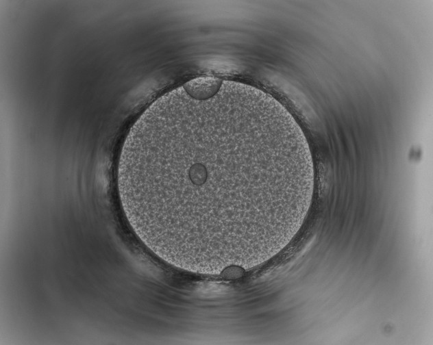 X0000101990451200808151428