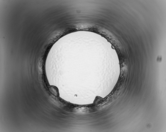 X0000101990452200808151428