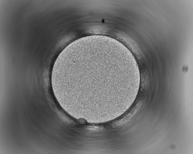 X0000101990453200808151428