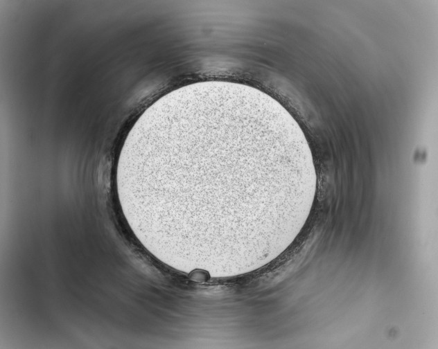 X0000101990454200808151428