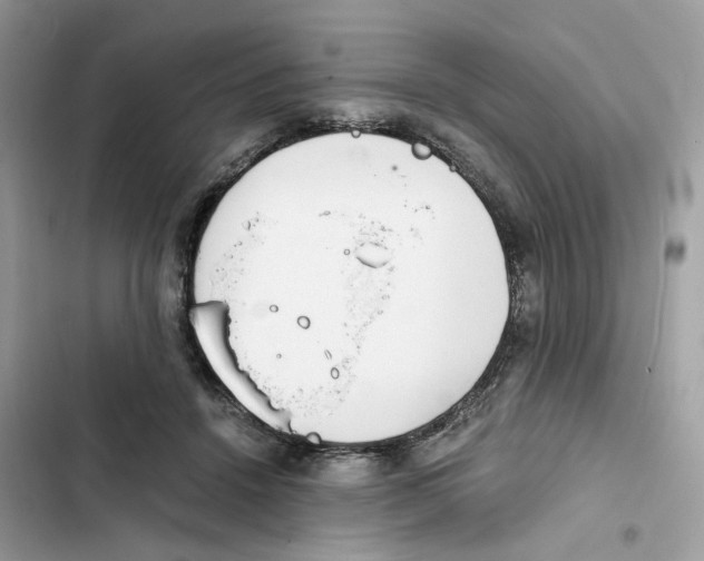 X0000101990456200808151428