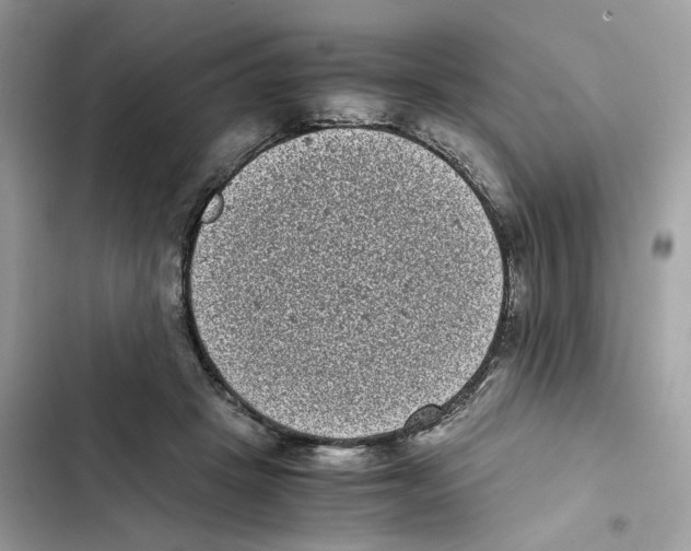 X0000101990457200808151428