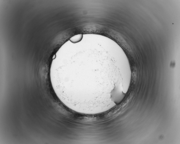 X0000101990458200808151428