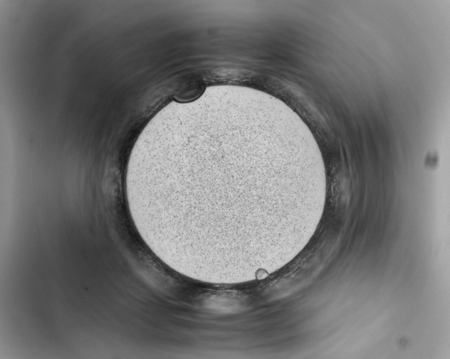 X0000101990459200808151428