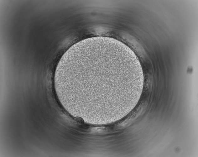 X0000101990461200808151428