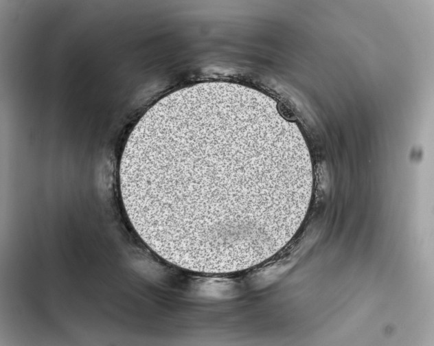 X0000101990463200808151428