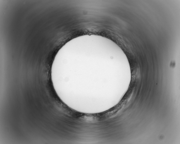 X0000101990464200808151428