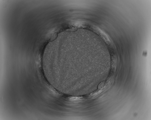 X0000101990465200808151428