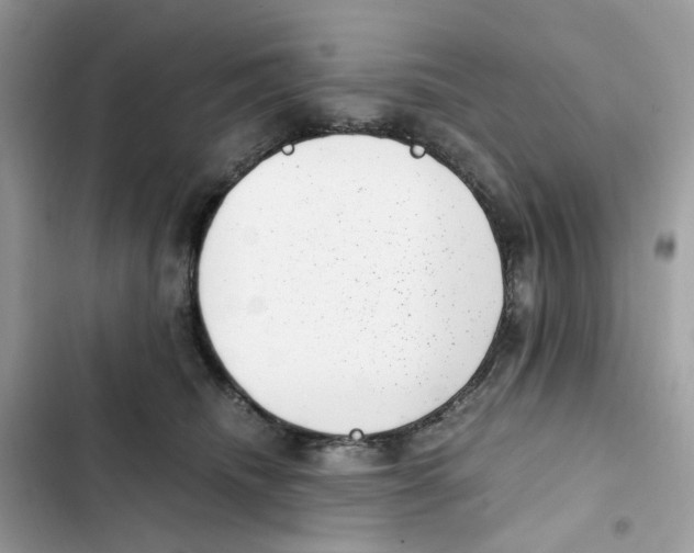 X0000101990468200808151428