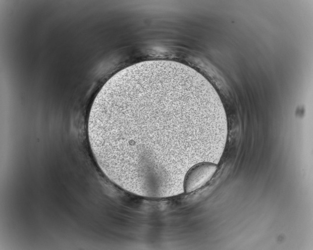 X0000101990469200808151428