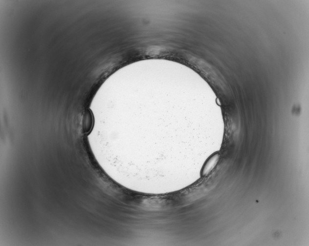 X0000101990470200808151428