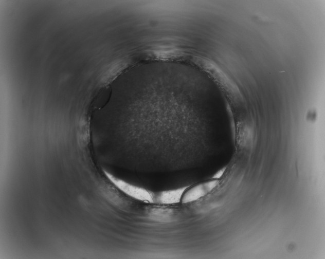X0000101990471200808151428