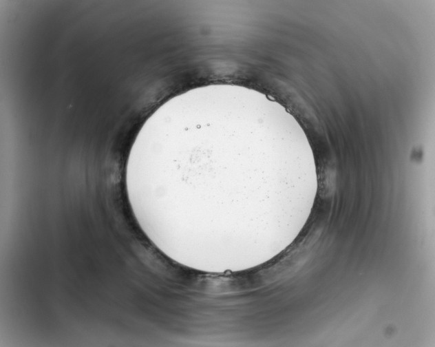 X0000101990472200808151428