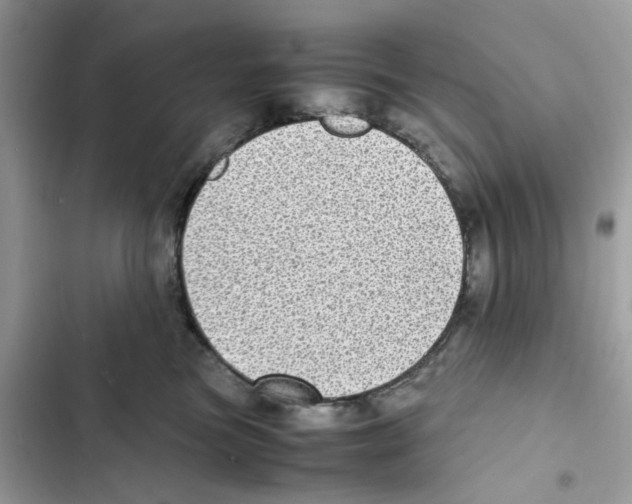 X0000101990473200808151428