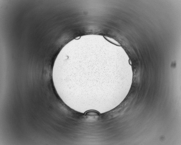 X0000101990474200808151428