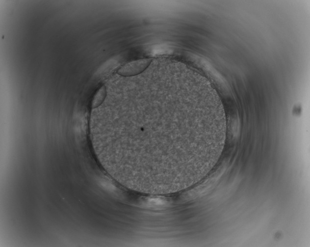 X0000101990475200808151428