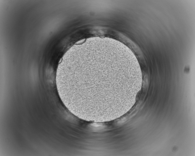 X0000101990477200808151428