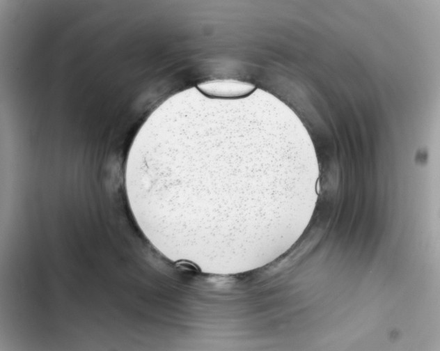 X0000101990478200808151428