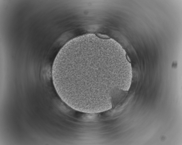 X0000101990479200808151428